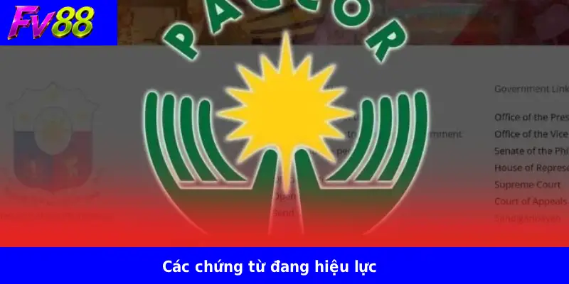 FV88 12 Các chứng từ đang hiệu lực