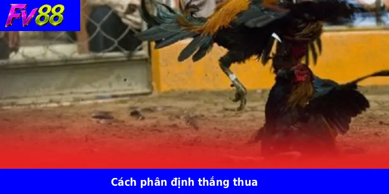 Cách phân định thắng thua