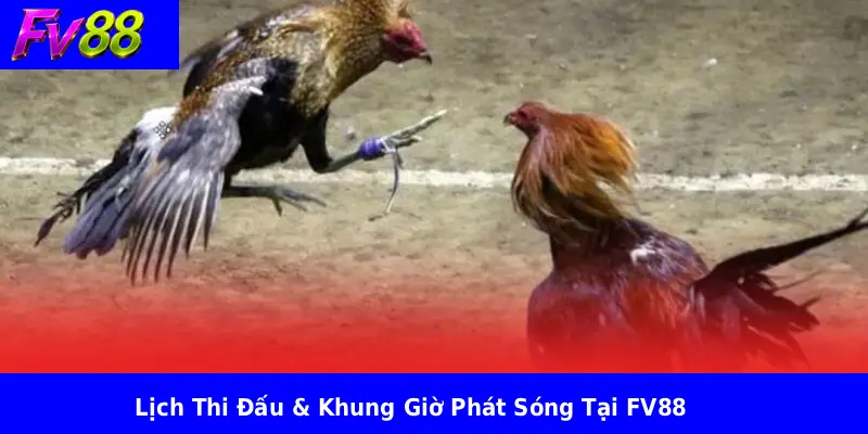 Lịch Thi Đấu & Khung Giờ Phát Sóng Tại FV88