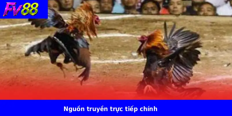 Nguồn truyền trực tiếp chính
