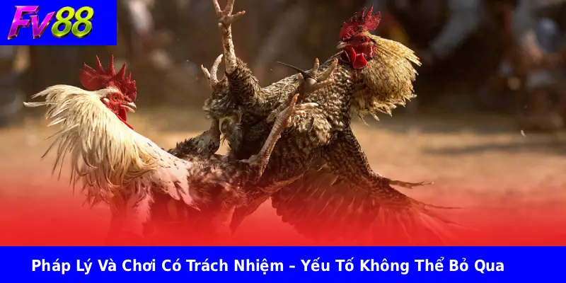 Pháp Lý Và Chơi Có Trách Nhiệm – Yếu Tố Không Thể Bỏ Qua