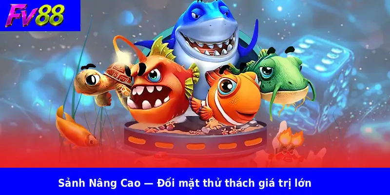 Sảnh Nâng Cao — Đối mặt thử thách giá trị lớn