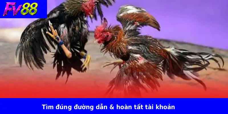 Kinh Nghiệm Xem Đá Gà Trực Tuyến FV88 2 Tim dung duong dan hoan tat tai khoan